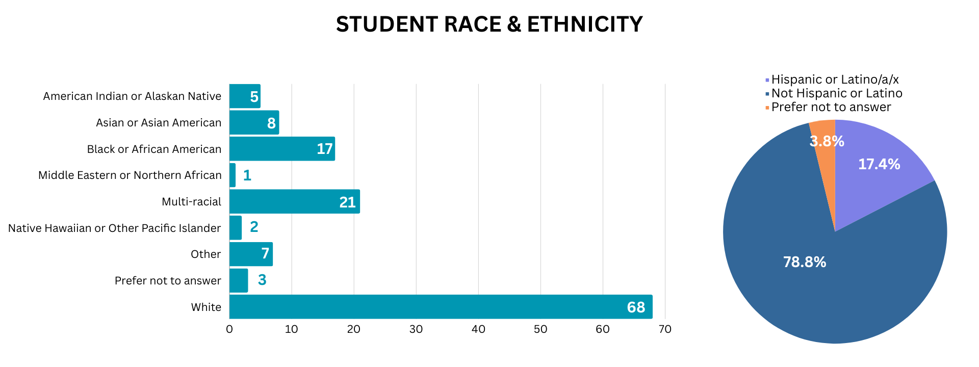 Student Race & Ethnicity Graphs for Who We Are on TapdIntoStem Site